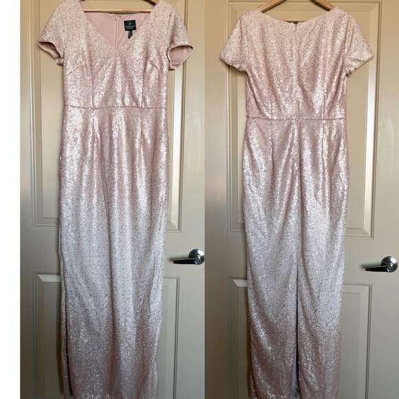 Adrianna Papell Ombré Sequin Long Dress in Blush Pink Multi 10 - Picture 2 of 6